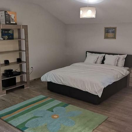 Viking Apartment Grigo Kolozsvár Kültér fotó