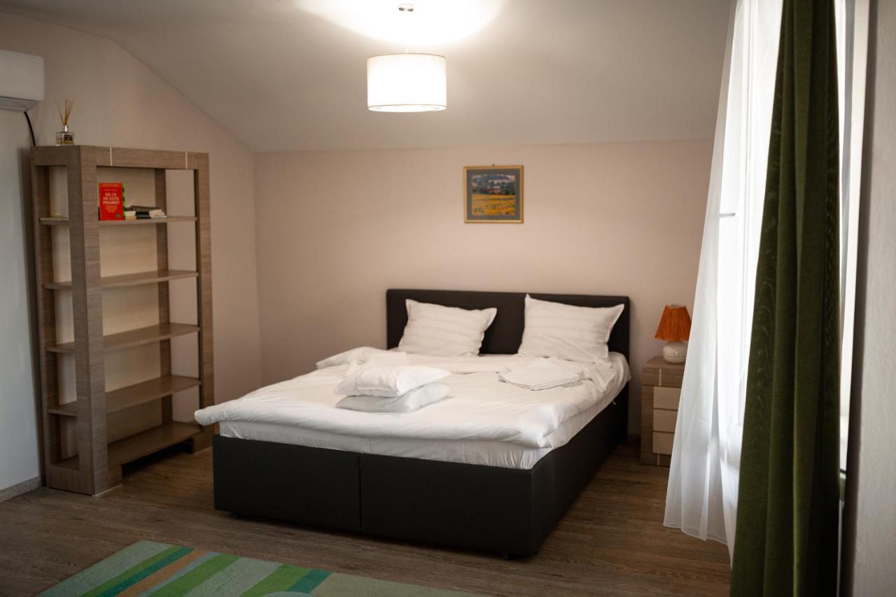 Viking Apartment Grigo Kolozsvár Kültér fotó